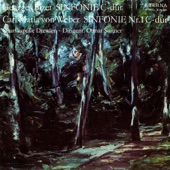 Symphony No. 1 In C Major, Op. 19, J. 50: I. Allegro Con Fuoco artwork