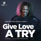 Give Love a Try (Reelsoul Remix) [feat. Natasha Watts] artwork