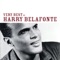 Mary's Boy Child - Harry Belafonte lyrics