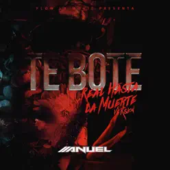 Te Boté (RHLM version) - Single - Anuel AA