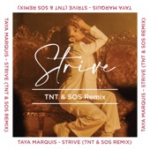 Strive (Remix) [TNT & SOS Remix] artwork