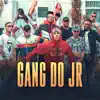 Gang Do JR (feat. rasta do flow, Lazore, MCS Nenem e Magrão & Mc James Blue) - Single album lyrics, reviews, download