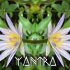 Yantra - Single