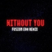 Without You (Remix) artwork