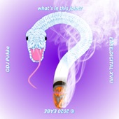 What's In This Joint? artwork