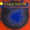 Cab (feat. Barbaros Erköse) - Craig Harris & The Nation Of Imagination lyrics