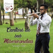 Cantaré de sus misericordias - Andrés Castillo artwork