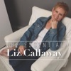 The Essential Liz Callaway artwork