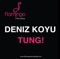 Tung! - Deniz Koyu lyrics