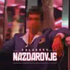 Nazdarovje - Single album lyrics, reviews, download