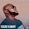 Viv' Clean - Single