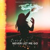 Never Let Me Go - Single