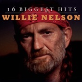 Willie Nelson - Angel Flying Too Close to the Ground