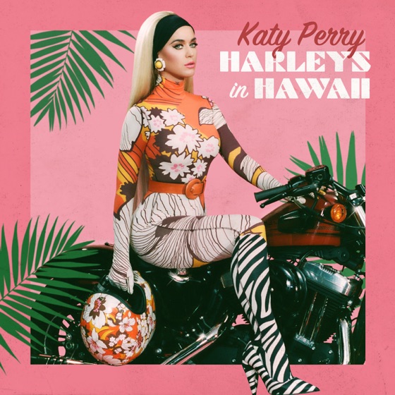 Cover artwork for Harleys in Hawaii