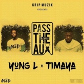 Pass the Aux (Remix) [feat. Timaya] artwork