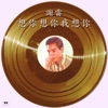 Xie Lei - 一寸相思一寸淚
