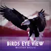 Birds Eye View album lyrics, reviews, download