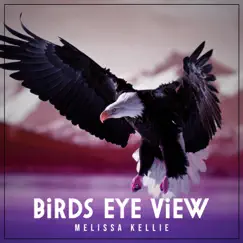 Birds Eye View by Melissa Kellie album reviews, ratings, credits