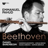 Beethoven: Works for Flute artwork