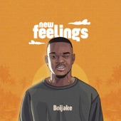 New Feelings artwork