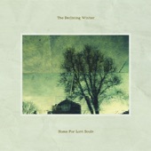 The Declining Winter - This Sadness Lacks