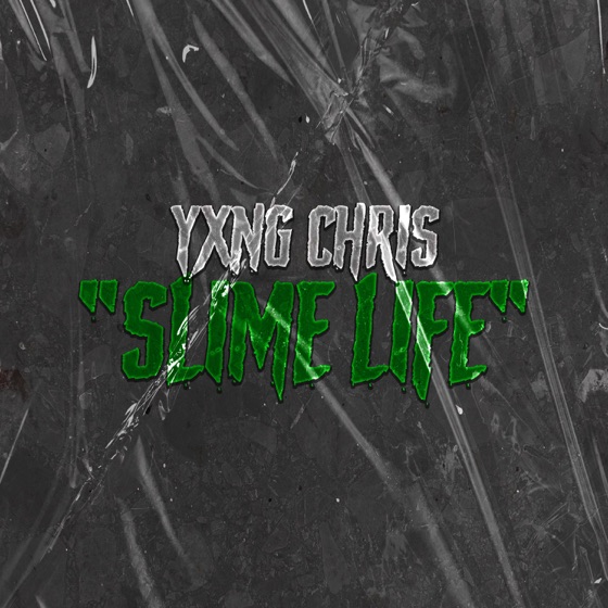Cover artwork for Shawty