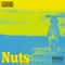 Nuts - Richard Steinschlag lyrics