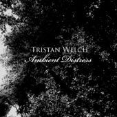 Tristan Welch - Economic Fear