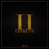 Level Up II artwork