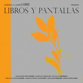 Libros y Pantallas (feat. La Mari de Chambao) (feat. Lamari) artwork