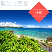 Nature in Okinawa Hamahiga Island spiritual energy sites Part3 artwork