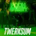 Twerksum - Single album cover