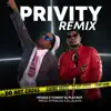 Stream & download Privity (Remix) - Single