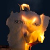 Sentiment - Sentiment