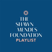 The Shawn Mendes Foundation Playlist artwork