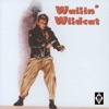 Wailin' Wildcat
