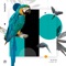 Selva - Sisto lyrics