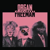 Go by Richard, Not by Dick by Organ Freeman