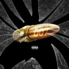 Li Heat - 007