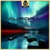 Aurora Electronica