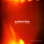 Señorita (feat. Fouli) artwork