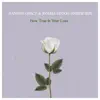 How True Is Your Love (Acoustic) - Single album lyrics, reviews, download