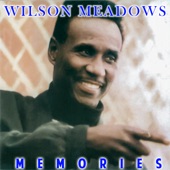 Wilson Meadows - Memories Keep Hangin On