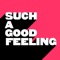 Such a Good Feeling (Extended Mix) - Kevin McKay & Joshwa lyrics