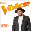 Minefields (The Voice Performance) song lyrics