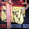 Actual Size