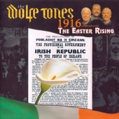 1916 Remembered. The Easter Rising. artwork