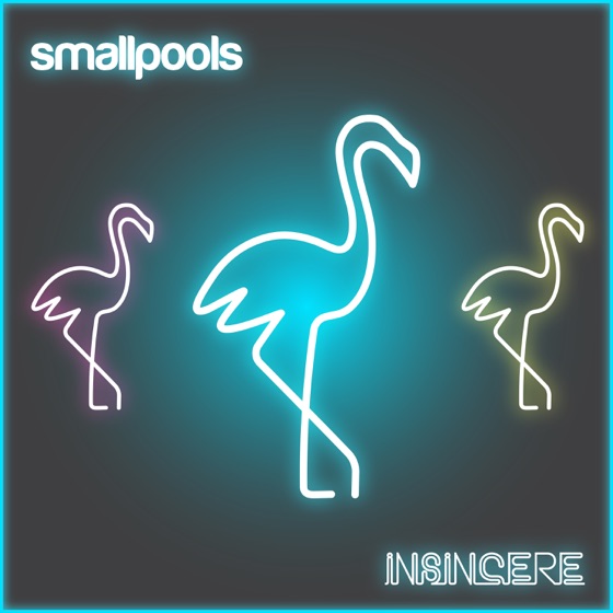 Cover artwork for Insincere
