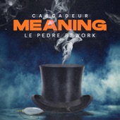 Meaning (Le Pedre Rework) artwork