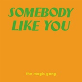 Somebody Like You artwork